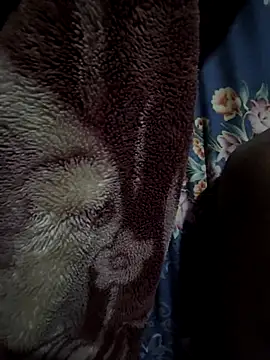 rmriya online show from 02.27.26