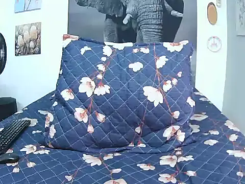 FireMontana9 online show from 03.01.26