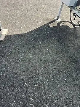 portostrip online show from 04.14.26