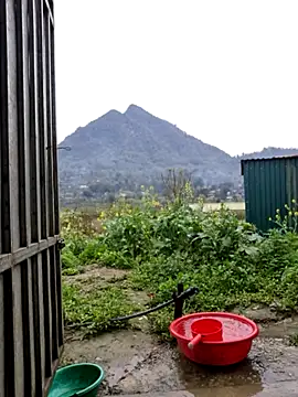 phay79 online show from 03.10.26