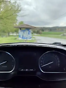 lui8181 online show from 04.01.26