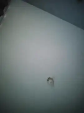 misteriosocam40 online show from 04.09.26