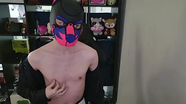 MellPUP online show from 04.01.26