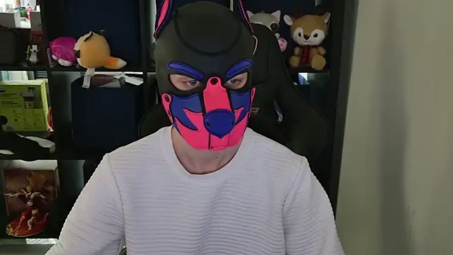 MellPUP online show from 04.08.26