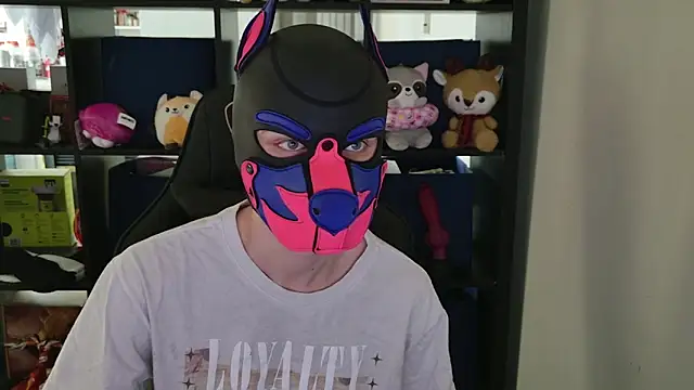 MellPUP online show from 04.10.26