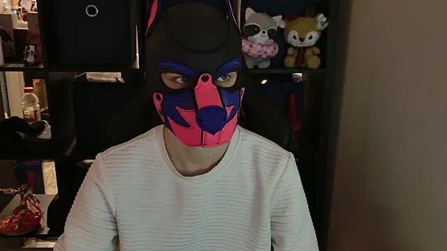 MellPUP online show from 04.20.26