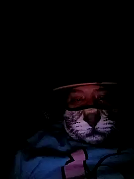 Charlygunslove online show from 03.03.26