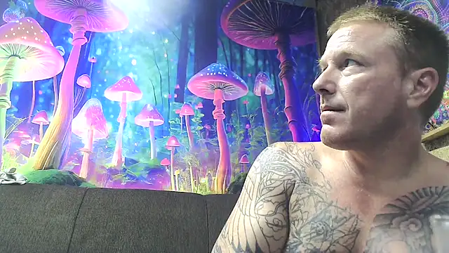 drednasty online show from 03.24.26