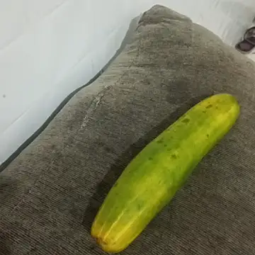 puta casada online show from 03.07.26