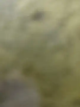 clayto77 online show from 03.06.26