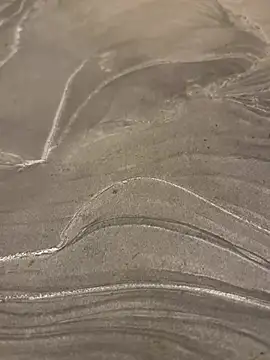 sharks90 online show from 03.24.26