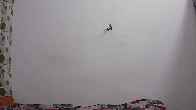 Snapshot of hard_to_do__ chatting on 04.11.26 hard to do online show from 04.11.26