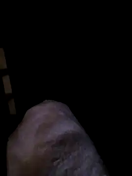 transrandi69 online show from 03.08.26