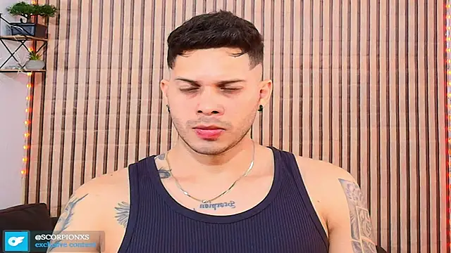 johan speitzer online show from 04.07.26