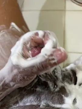 Snapshot of Chotiluli4 chatting on 04.12.26 Chotiluli4 online show from 04.12.26