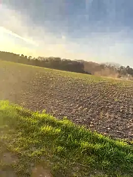 SoftAmjad online show from 04.08.26