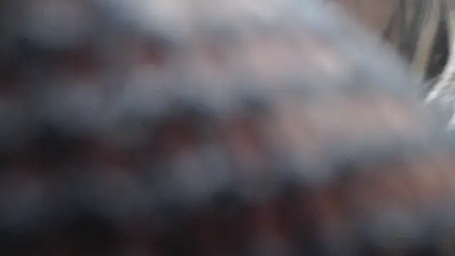 Britanylovee online show from 03.27.26