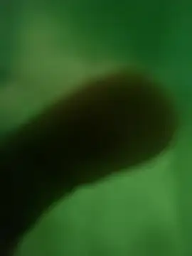 ffgffefgg online show from 03.12.26