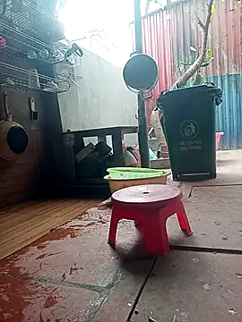 Leylin 1 online show from 03.23.26