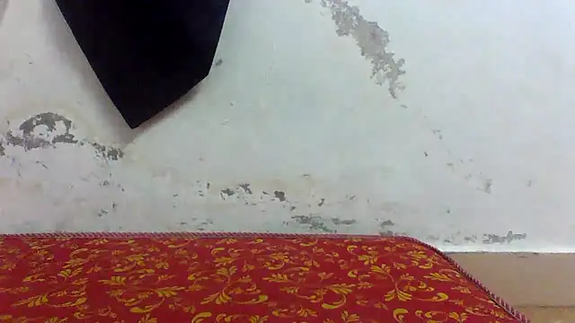 Nhlax22 online show from 04.04.26