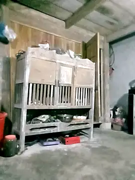 hasaki001 online show from 03.27.26