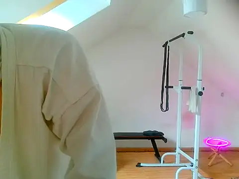 NinjaLaser online show from 04.13.26