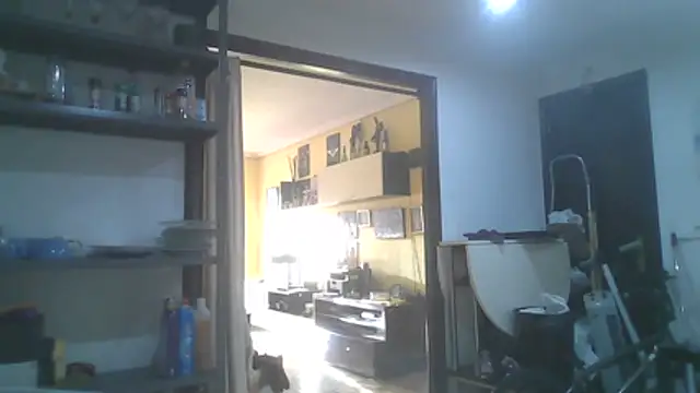 anastasia-evans online show from 04.03.26