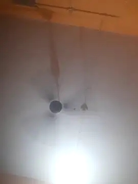 bodymassage455 online show from 04.01.26