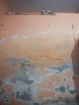 bodymassage455 online show from 04.06.26