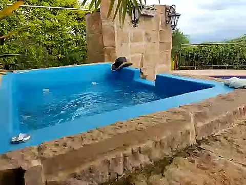 wildestatecouple online show from 03.17.26