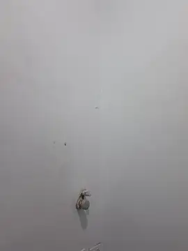 Aila Phone online show from 03.29.26