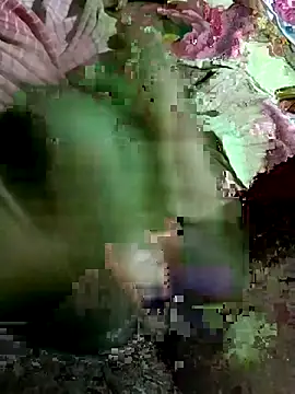 chutki deewana online show from 08.06.26