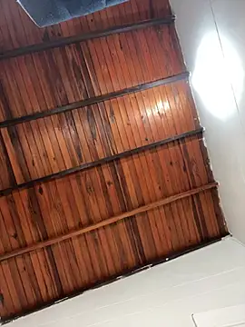 Trixie pop online show from 04.10.26