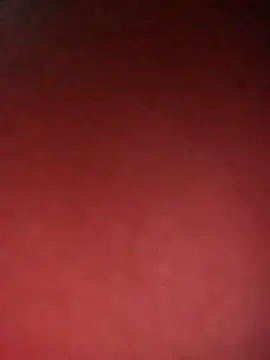 leidi-95- online show from 04.07.26