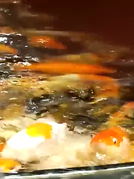 Enmy 24 online show from 04.12.26