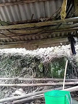 NIANIAKUTE online show from 03.27.26