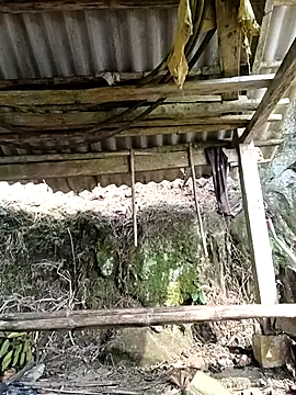 NIANIAKUTE online show from 04.06.26