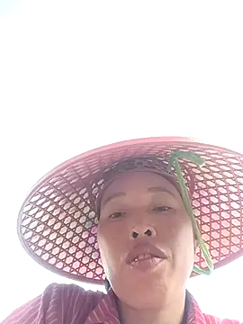 NIANIAKUTE online show from 04.08.26