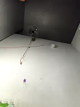 my33verything online show from 03.18.26