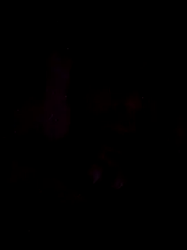 onliveme69 online show from 04.08.26