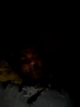 Palash2001 online show from 04.18.26