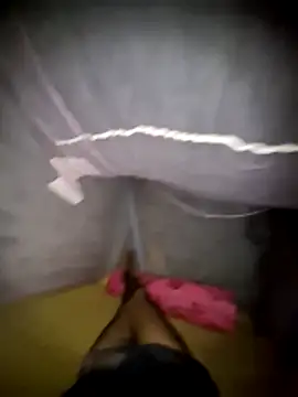 Palash2001 online show from 04.18.26