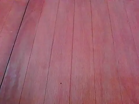 Annisof000 online show from 04.14.26