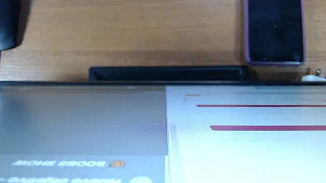 SofiaRoyal2308 online show from 04.13.26