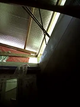 -Tiduta- online show from 03.29.26