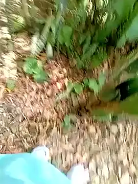 SabrinaVantress online show from 04.03.26