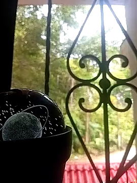 SabrinaVantress online show from 04.06.26