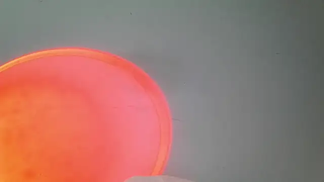 srghost333 online show from 03.25.26