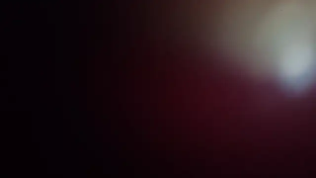 leilei998 online show from 04.01.26