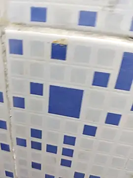 diljaan51 online show from 03.24.26